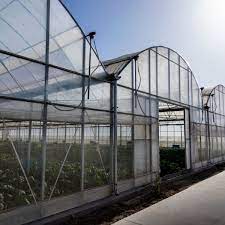greenhouse farming in nigeria a