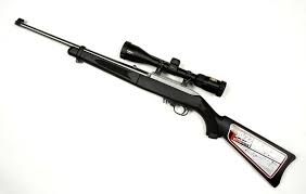 ruger 10 22 takedown with scope