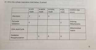 Solved 47 Fill In The Cellular Respiration Chart Below