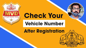 check your vehicle number after