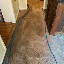 best carpet cleaning how to make high