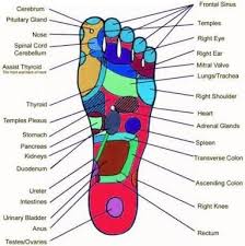 Image Result For Acupuncture Heart And Feet Pressure Points