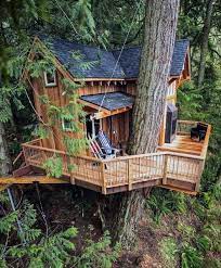 Tree House Designs