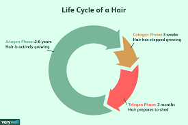 Find Out How Fast Your Hair Grows In The Anagen Phase
