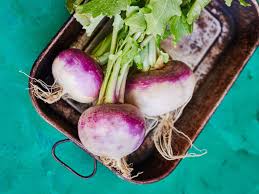 turnip benefits and recipes learn all
