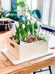 make an easy indoor spring planter box