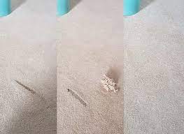 how to remove burn from a carpet