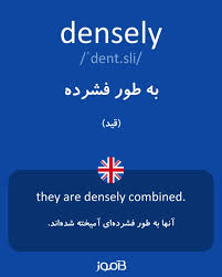 نتیجه جستجوی لغت [densely] در گوگل