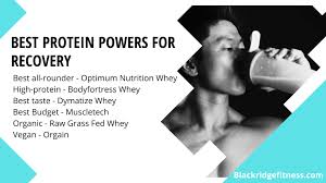 best protein powders for recovery 2023