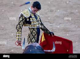 Alejandro Talavante peleando el segundo toro de la tarde en las fiestas de  San Fermín 2022 el 12 de julio de 2022 (Foto de Fernando Pidal / SOPA  Images/Sipa USA Fotografía de stock - Alamy