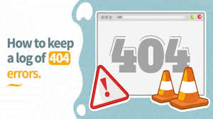 log track 404 errors in wordpress