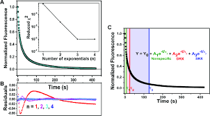 Fitting nucleotide exchange data with exponential decay functions. (A)... |  Download Scientific Diagram