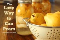 Can you preserve pears with the skin on?