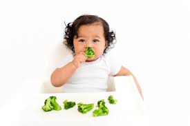 50 iron rich foods for es toddlers