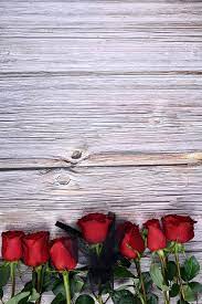 รูปกุหลาบแดงเจ็ดดอกด้านล่างพื้นหลังลายไม้, สีแดง, ดอกกุหลาบ,  ดอกไม้สดภาพพื้นหลังสำหรับการดาวน์โหลดฟรี - Pngtree