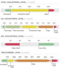 Cholesterol Levels Chart In 2019 Normal Cholesterol Level