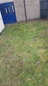 How To Plant Grass Seed In Bare Spots