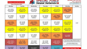 special force taegeuk taekwondo edmonton