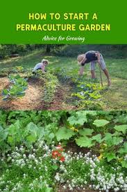 how to start a permaculture garden