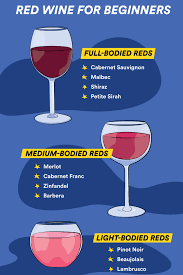 red wine for beginners everything you