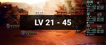 enemy weaknesses lv 21 45 meow