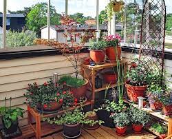 How You Can Start A Balcony Garden