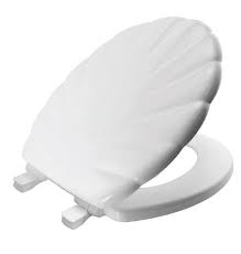 Quick Release Ultra Fix Toilet Seat