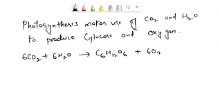 Balanced Chemical Equation 6co2 6h2o