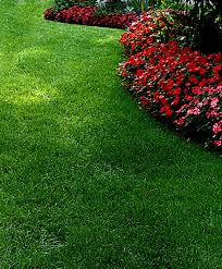 Or what keeps us mowing (and mulching and trimming)? Central Ohio Lawn Care Services