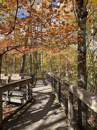 fairy tale at inniswood metro gardens