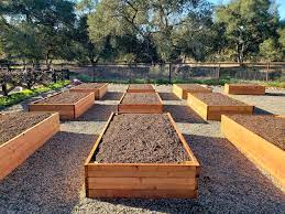 raised garden beds with organic soil