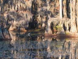 Maybe you would like to learn more about one of these? The 10 Closest Hotels To Caddo Lake State Park Karnack Tripadvisor Find Hotels Near Caddo Lake State Park