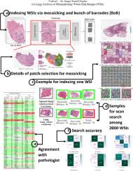 Download sequence data files using sra toolkit; Yottixel An Image Search Engine For Large Archives Of Histopathology Whole Slide Images Sciencedirect