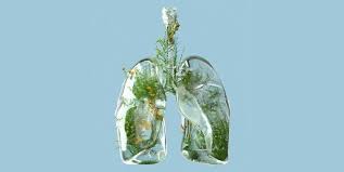 Methods Of Cleaning The Respiratory System