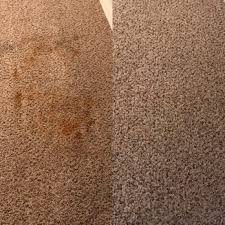 appleton wisconsin carpet cleaning