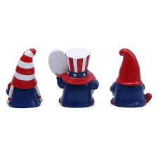 american independence day funny gnomes