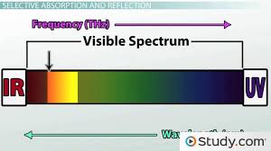 Color White Light Reflection Absorption Video Lesson Transcript Study Com