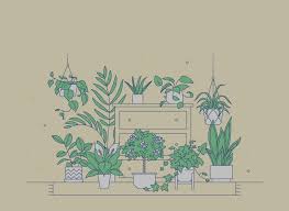 Learn how to draw on a tablet in this comprehensive tutorial for beginners. 10 Of The Best Plants For The Bedroom Casper Blog