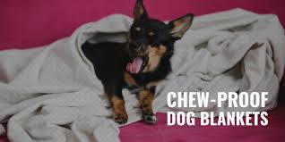 Chew Proof Dog Blankets Best S