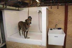 We have calming blue walls and music.. Pet Grooming Tubs Ideas On Foter Dog Washing Station Pet Grooming Tub Dog House Diy