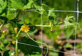 use garden trellis netting