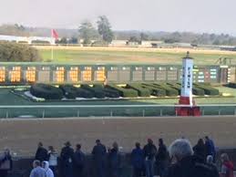 View From Our Box Seats Picture Of Oaklawn Racing Gaming