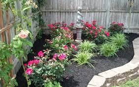 35 amazing backyard rose garden ideas