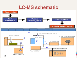 Liquid Chromatography And Mass Spectrometry Lcms