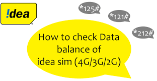 how to check all sim data balance 2021