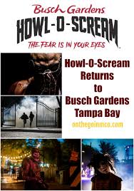 howl o scream returns to busch gardens