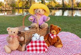 1,076 Teddy Bear Picnic Stock Photos, Pictures & Royalty-Free Images - iStock