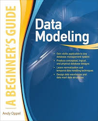data modeling a beginner s guide