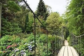 visit avoca mount usher gardens with