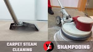 carpet steam cleaning vs shooing